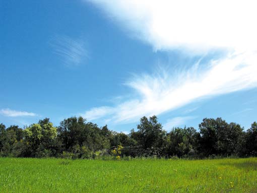 Albera Wolke Wo die Pyrenäen im Meer versinken   Wandern durch die Serra de l’Albera