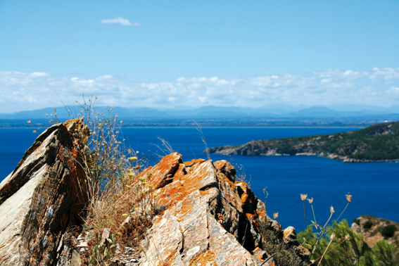 norfeu-Stein norfeu Stein Cap Norfeu Zwischen Roses und Cap Creus