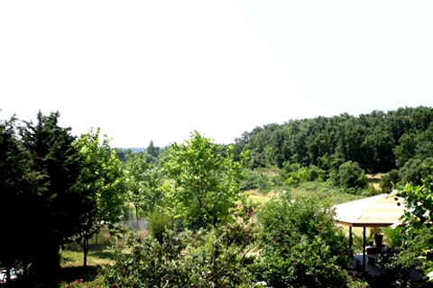 Aussicht von der Terrasse