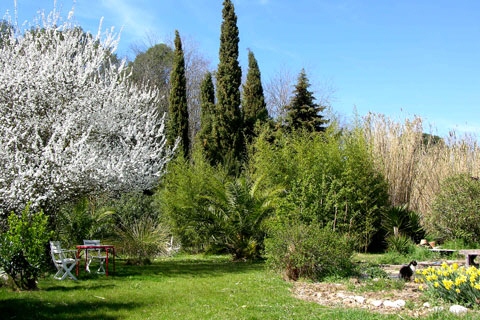 Verglaste Terrasse oben