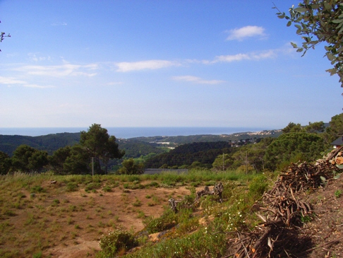 Grundstück in Sant Pol zum Kauf