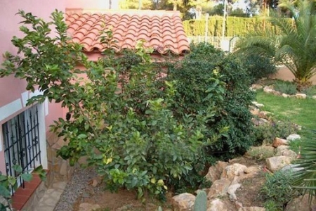 #3tree