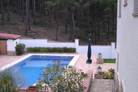 Pool auf der Terrasse mit anschließender Vegetation