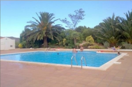 Gemeinschaftspool mit angrenzendem Palmengarten